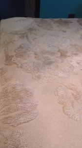 dye on a rug from jeans